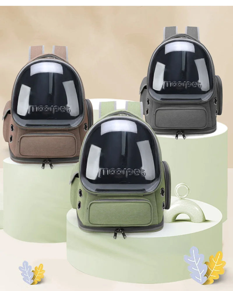 Transparent Pet Carrier