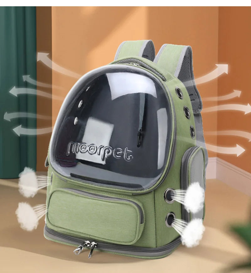 Transparent Pet Carrier