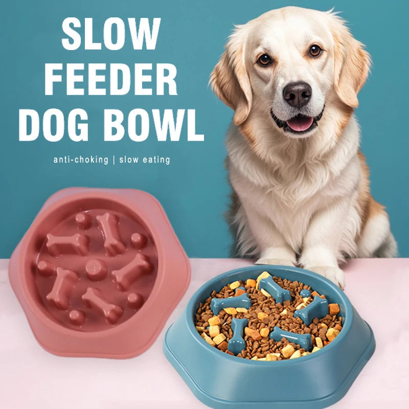 Slow Feeder- Dog Bowl