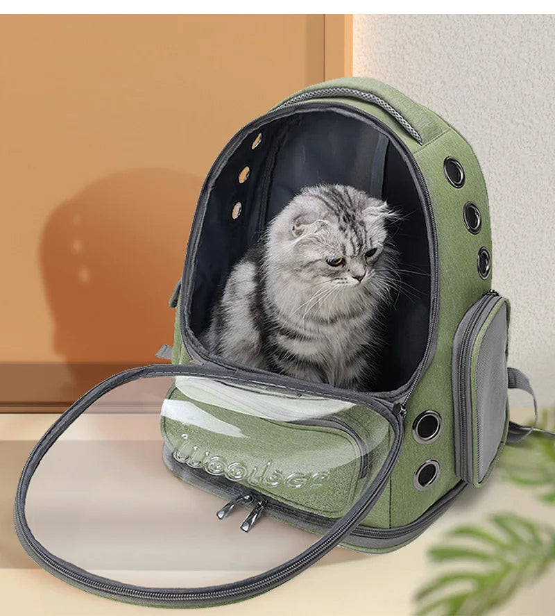 Transparent Pet Carrier