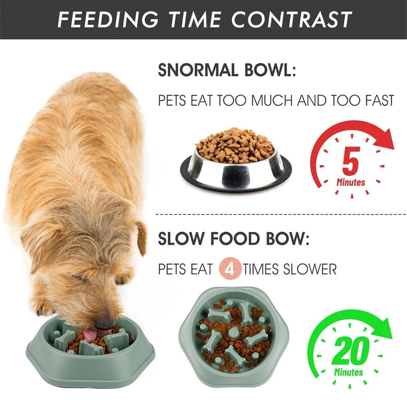 Slow Feeder- Dog Bowl
