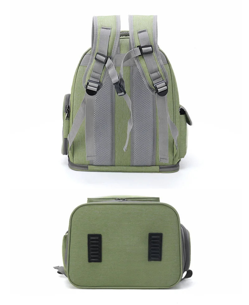 Transparent Pet Carrier