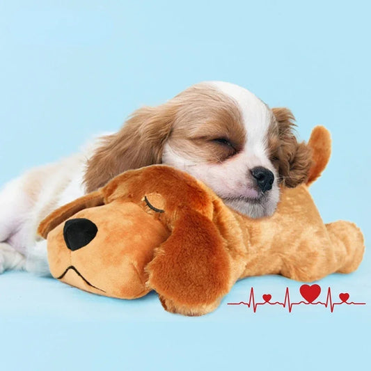 Cozy Puppy