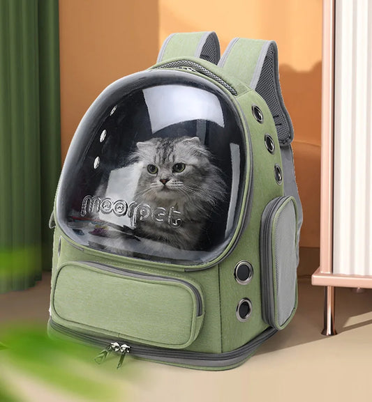 Transparent Pet Carrier