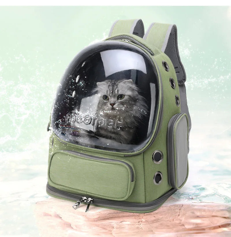 Transparent Pet Carrier